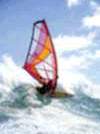 Windsurfer